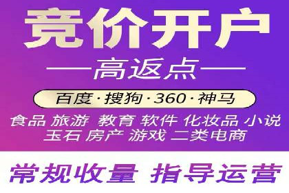 XX领域竞价广告的投放策略及效果展示